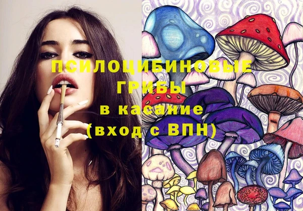 соль ск Алексин