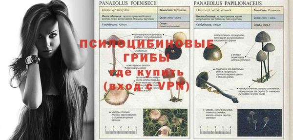ПСИЛОЦИБИНОВЫЕ ГРИБЫ Алексеевка