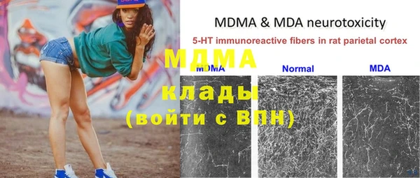 ПСИЛОЦИБИНОВЫЕ ГРИБЫ Алексеевка