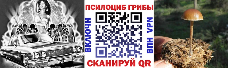 купить закладку Казань ссылка на мегу tor Псилоцибиновые грибы ЛСД