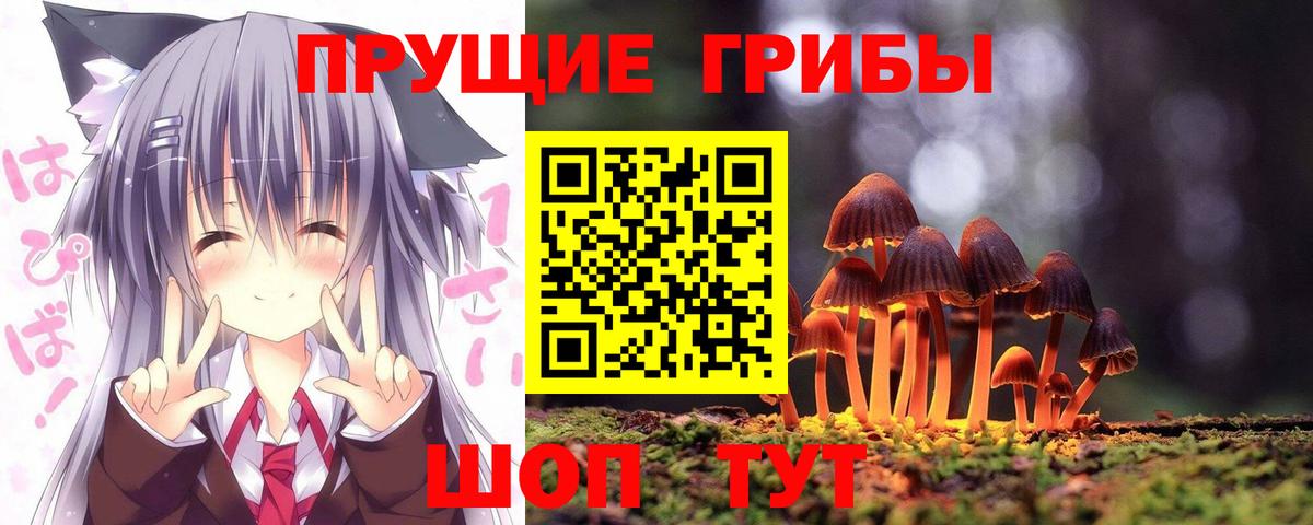 Галлюциногенные грибы прущие грибы  Псилоцибиновые грибы Psilocybe  Казань  Вход с VPN 